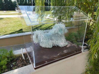 cuccia plexiglass