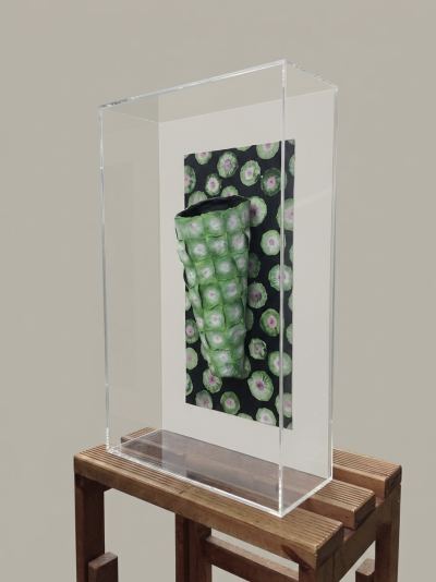 teca in plexiglass per scultura